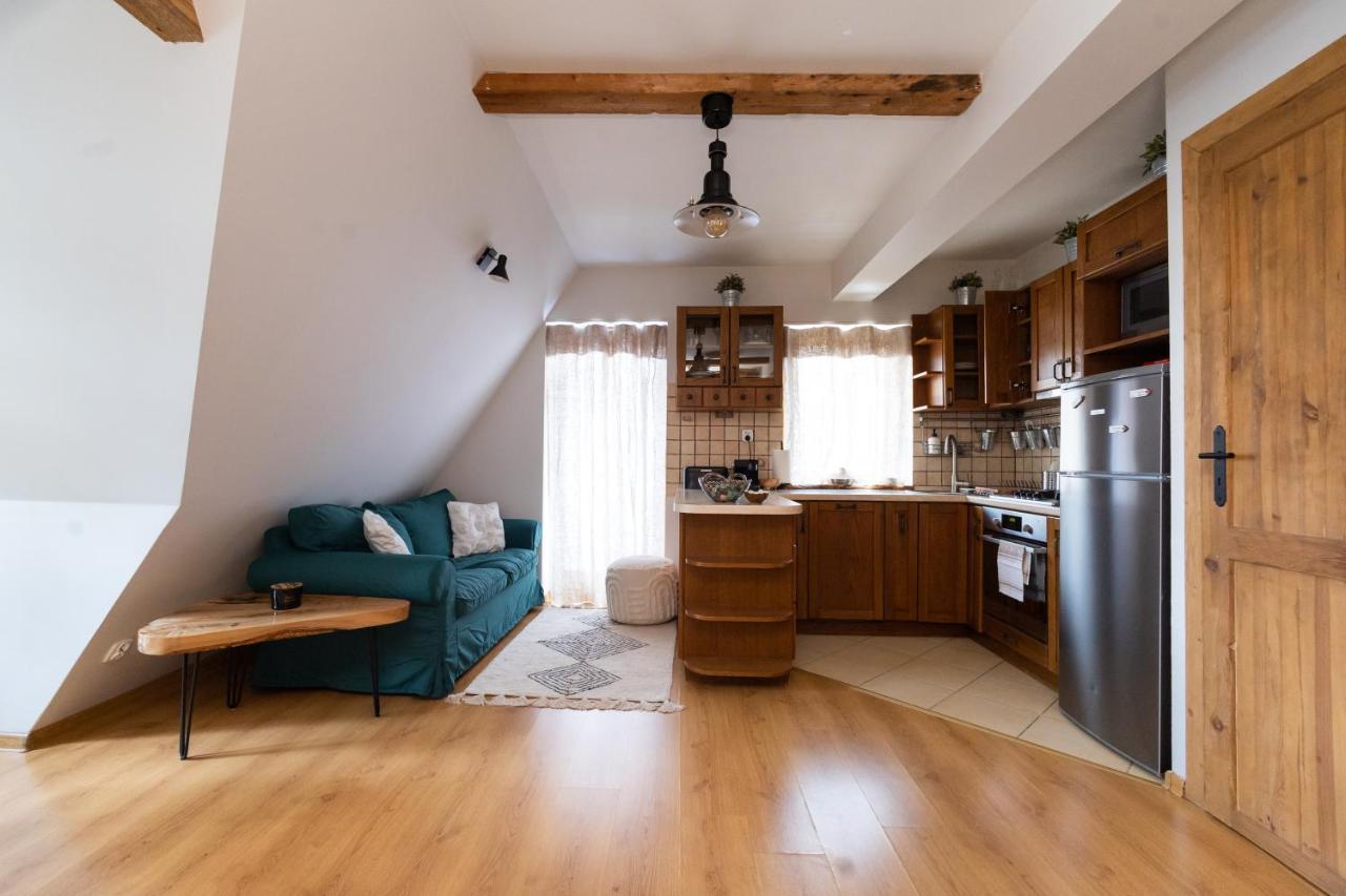 Apartament Blisko Szlaku Zakopane Apartment Bagian luar foto